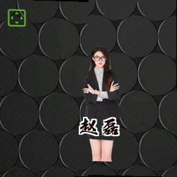 赵磊